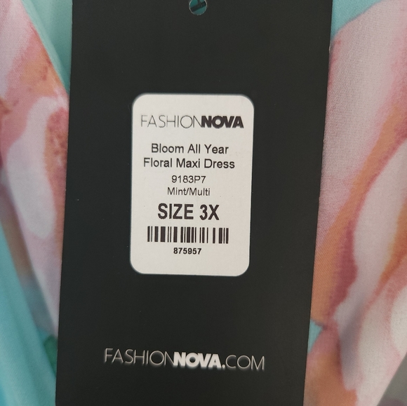 Chiffon Floral Mint Green Maxi Dress Plus 3X - Picture 5 of 6